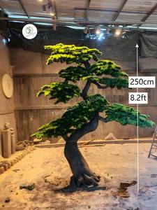 Árbol de <span class=keywords><strong>Cedro</strong></span> Personalizado Directo de Fábrica, Personalización OEM y ODM, Podocarpus, Bonsái Artificial Grande para Interiores y Exteriores - Product Image 6