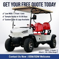 Carrito de Golf de Gasolina de 4 Personas y 4 Tiempos, Motor de 300 CC Refrigerado por Agua, Neumáticos Todoterreno de 14 Pulgadas, Capacidad de Subida del 25%, Uso en Resorts, Parques y Campus