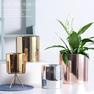 Florero <span class=keywords><strong>de</strong></span> cerámica pequeño para plantas <span class=keywords><strong>suculentas</strong></span>, macetas doradas <span class=keywords><strong>y</strong></span> plateadas para decoración del hogar, bonsái, gran oferta, 2023 - Product Image 6