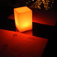 Lampes de table LED sans fil à 16 couleurs changeantes avec télécommande, pour la décoration de la maison, des restaurants, des bars et des clubs