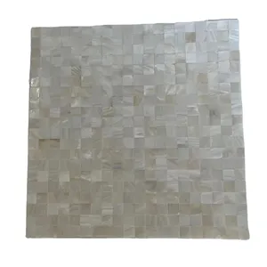 Soulscrafts Square Wall Tile Natural Mother of Pearl Shell Mosaic