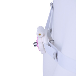 Jaula de Castidad ANOSX con Catéter Metálico, Jaula de Garras Bonita, Candado de Pene de Resina Plana, Juguetes Sexuales BDSM para Hombres - Product Image 3