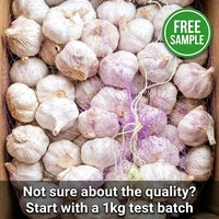 Ail frais de nouvelle récolte de haute qualité en provenance de Chine, fournisseur original, prix de gros, ail blanc normal