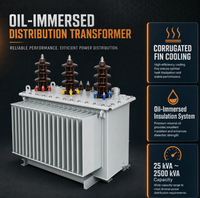 Transformador de Distribución Trifásico S20 con Bobinado de Cobre Sumergido en Aceite de 50kVA a 2500kVA, Equipo Eléctrico de Ahorro Energético Personalizado