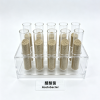 Culture pure d'Acetobacter 10 milliards UFC en poudre pour la fermentation de l'acide acétique, sacs kraft de 25 kg, durée de conservation de 12 mois, étanche