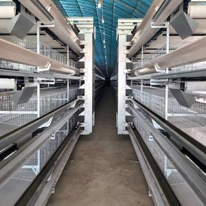 Grande <span class=keywords><strong>serre</strong></span> d'élevage de poulets à double couche <span class=keywords><strong>en</strong></span> PE avec structure <span class=keywords><strong>en</strong></span> acier galvanisé à chaud - Product Image 4