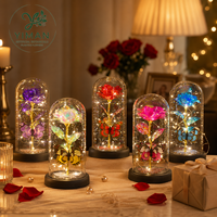 Cadeau de la Saint-Valentin YM : rose éternelle sous cloche en verre, lampe LED, fleurs en verre plaqué or 24 carats avec lumières, papillon sous cloche en verre