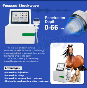 Máquina Portátil Popular de Terapia de Ondas de Choque Focalizadas en Animales, Máquina de Ondas de Choque de Penetración Profunda para Uso Equino - Product Image 2