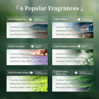 Offres Spéciales nouvelle conception 100ML parfum fort personnalisé bouteille en verre sans feu bâtons de diffuseur de roseau