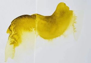 <span class=keywords><strong>Winsor</strong></span> <span class=keywords><strong>Newton</strong></span> 75ml Ox Gall Liquid Watercolour Medium Monofásico para Lienzo, Vidrio, <span class=keywords><strong>Papel</strong></span>, Aumenta el Flujo de Humectación, Embalaje Suelto - Product Image 5