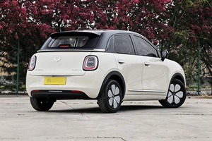 Nouvelle voiture familiale Wuling Bingo Pro Mini 2025, recharge rapide, véhicule électrique à énergie nouvelle en provenance de Chine - Product Image 6