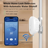 Vanne à boisseau sphérique DN20 pour le contrôle du débit d'eau, avec surveillance de la température et contrôle à distance Wi-Fi
