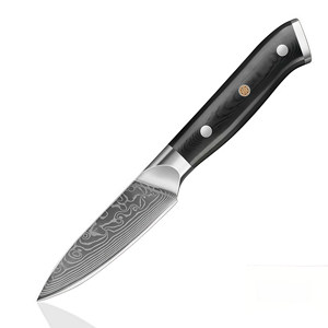 Couteau à éplucher Damas 3,5 pouces en acier VG10, lame tranchante, manche noir G10, petit couteau de cuisine pour fruits et légumes - Product Image 1
