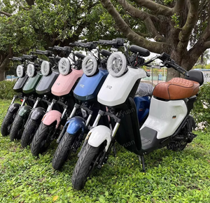 DISIYUAN Engtian sepeda motor listrik, skuter listrik kecepatan cepat 1500W dengan baterai Lithium sepeda motor listrik - Product Image 6