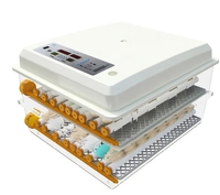 Incubateur d'Œufs Automatique en Gros, Neuf, Petit Système d'Incubation Ménager pour Élevage de Poulets, Prix Abordable pour Ferme Avicole