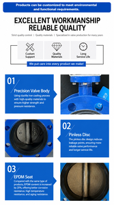 Raccord à joint plat/à pattes 6 pouces DN150 PN10/PN16 en fonte ductile EPDM Acier inoxydable Disque Anti-fuite CE ISO - Product Image 3