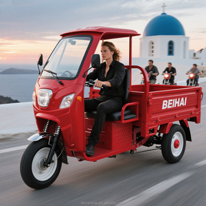 Buon prezzo carico elettrico tre ruote trasporto frutteto a lunga distanza - Product Image 2