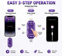 Boîte d'ingénierie de récupération DFU Lanrui V587 – Outil de réparation en un clic pour le flashage des téléphones mobiles iPhone et Android