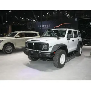 5 Seater 4 Wheel High Speed Gasoline Car Adult Suv Car Made In China 2024 Great Wall Tank 300 In Stock