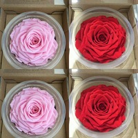 Fleurs de pivoine stabilisées artisanales Liviflo en gros, longue durée (3-5 ans), pour Pâques, la Saint-Valentin, le Nouvel An, Noël, la remise des diplômes