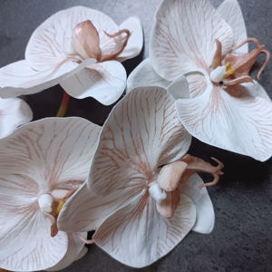 O-X766 Orquídeas Phalaenopsis de Alta Calidad, Flores de Orquídea de Tacto Real, Plantas de Orquídeas <span class=keywords><strong>Dendrobium</strong></span> para Decoración de Bodas y Mesas del Hogar - Product Image 3
