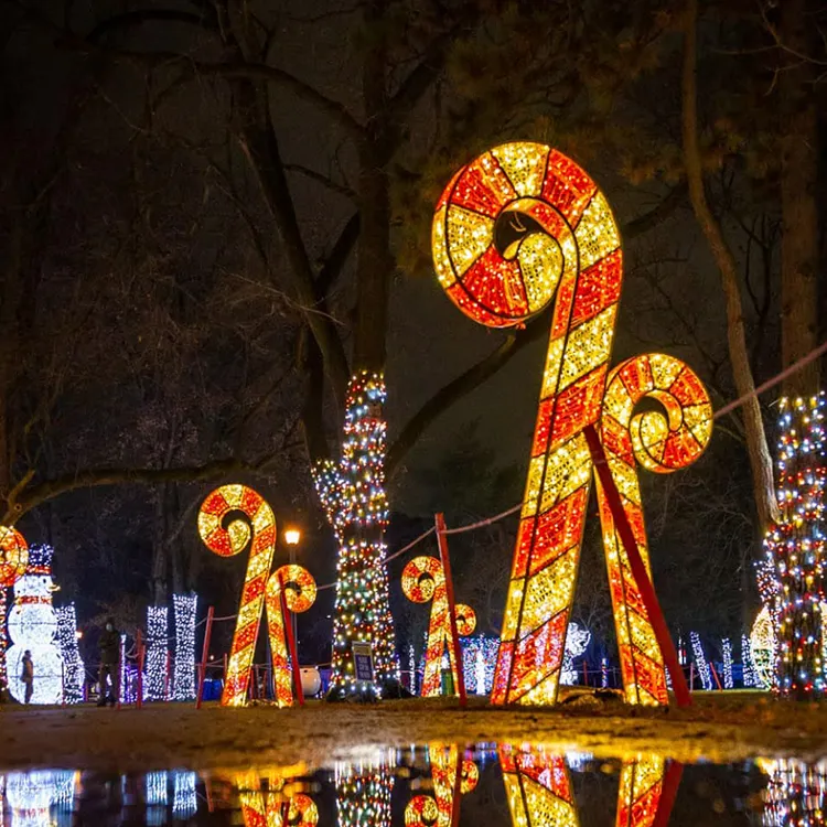 Lumières de décoration sur le thème de Noël Personnalisation extérieure 3D LED Motif Candy Cane Light