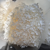 Produsen Yunnan Bunga Hydrangea Kering Berkualitas Baik yang Diawetkan dengan Gliserin Putih/Warna-warni, Bunga Kering Kustom untuk Pernikahan, Perlengkapan DIY