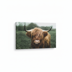 Highland Cow Canvas Print: Rustic Farmhouse Animal Wall Art,<b>WRAPPED</b> CANVAS - Product Image 2