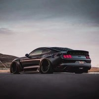 Kit de pare-chocs large pour Mustang Minibus F16, style CD, avec lèvre avant, diffuseur et spoiler auto-adhésifs, remplacement en carbone noir, neuf