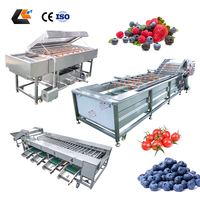Commerciële olijfstengelverwijderaar, fruit sorteerder, cherry tomaten grader, spray bubbelwasser, automatische fruitwaslijn