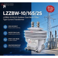 Transformateur de courant LZZBW-10/165/2S 10/11/12kV 5-1000A 0.2/10P 0.25/10P 0.5/10P CT extérieur