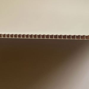 Plaque creuse en plastique PP de 1.5mm à 12mm d'épaisseur Feuille creuse en PP colorée personnalisée pour boîte de retournement de fruits - Product Image 2