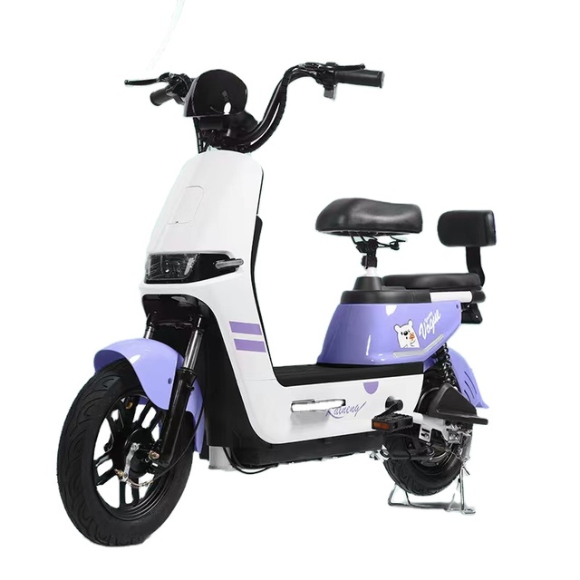Hot Selling Powerful Electrical Bicycles Electric Bike Bikes From China Electrical Motor Bike Fat Tire High Speed Electric Cycle