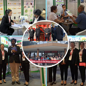 Di alta qualità cosmetici sodio <span class=keywords><strong>coco</strong></span>-solfato SCS cas 97375-27-4 sodio cocco solfato scs in polvere - Product Image 4