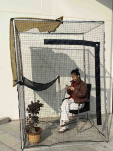 Nhà Máy Nóng Bán Cắt Tùy Chỉnh Nylon HDPE Dây Thép Gia Cố Ngoài Trời Hàng Rào Bảo Vệ Nhà Máy Vật Nuôi Mèo Con Chó Lồng Lưới - Product Image 4