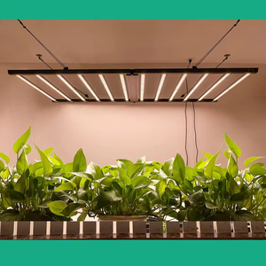 Lámpara LED de Horticultura de Alta Intensidad de 1200W, Regulable en Dos Niveles, con Refuerzo UV <span class=keywords><strong>para</strong></span> <span class=keywords><strong>Cultivo</strong></span> Interior, Grado IP65, Superventas - Product Image 6