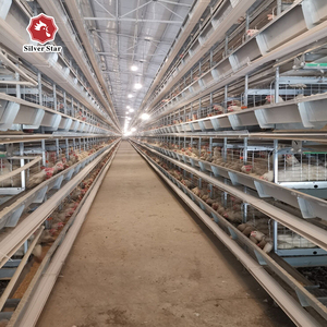 Diseño de Jaulas Automáticas para Gallinas Ponedoras de Codorniz - Product Image 2