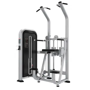 Fitness Factory Direct Supply Workout Força Gym Equipment Dip/queixo Assist Para Exercício