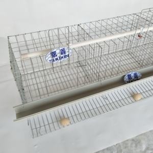 Jaula para Gallinas <span class=keywords><strong>de</strong></span> Granja Avícola al Mejor <span class=keywords><strong>Precio</strong></span> con Recolector Automático <span class=keywords><strong>de</strong></span> Huevos, Jaula <span class=keywords><strong>de</strong></span> Cría <span class=keywords><strong>de</strong></span> Pollos para Cría Plana <span class=keywords><strong>de</strong></span> Aves <span class=keywords><strong>de</strong></span> Corral - Product Image 4