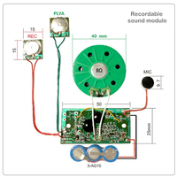 Module d'enregistrement sonore avec bouton de lecture vocale, prise en charge du microphone, enregistrement PC/téléphone, carte de vœux DIY, MP3/WAV, durée 60s