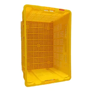 Hot sale storage box crates stackable vegetable crate plastic tomato crates