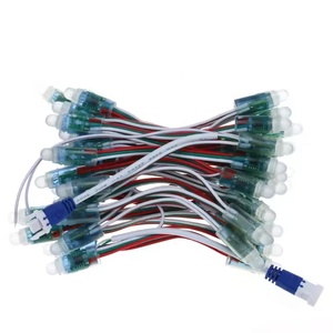 <span class=keywords><strong>Ws2811</strong></span> IC được xây dựng trong RGB 12 mét <span class=keywords><strong>Led</strong></span> chuỗi đầy đủ màu sắc 5V 12V <span class=keywords><strong>LED</strong></span> pixels mô-đun không thấm nước IP68 điểm ánh sáng - Product Image 3