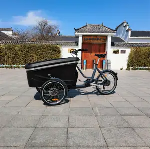 Vélo cargo électrique 3 roues pour adultes bakfiets pour enfants