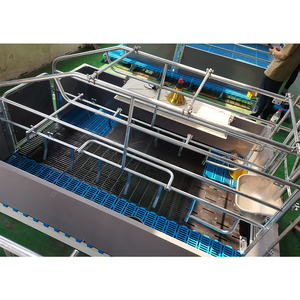 Jaula para Cerdas en Estado Nuevo, Jaulas de Parto para Cerdas, Jaulas de Maternidad para Cerdos - Product Image 6