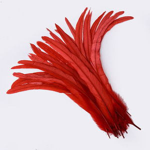 35-40 cm fête carnaval décor bricolage artisanat Floral chapeau chapellerie chapeaux accessoire prune teint poulet coq Coque queue plumes - Product Image 2