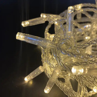 Guirlande lumineuse LED couleur avec coque bulle IP68 et corps en PVC, AC220V, CRI 90, étanche pour extérieur, garantie de deux ans pour utilisation paysagère
