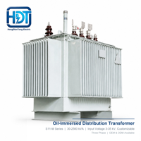 Transformateur de distribution immergé dans l'huile 60Hz S11-M Triphasé 480V Cuivre IEC60076 Économe en énergie