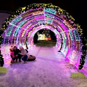 Large LED Christmas Tunnel Display for Garden Park Street Entrance and Seasonal Holiday <b>Lighting</b> Decoration - Product Image 1