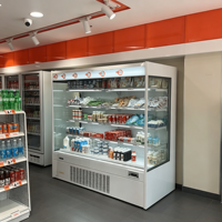 Réfrigérateur multi-étagères enfichable sans givre à technologie Inverter, avec fonction de refroidissement pour boîtes repas, pour le stockage commercial de viande