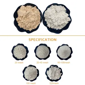 Diatomito branco para tinta de parede, revestimento em pó diatomáfico para revestimento diatom arte de parede grau celite 545